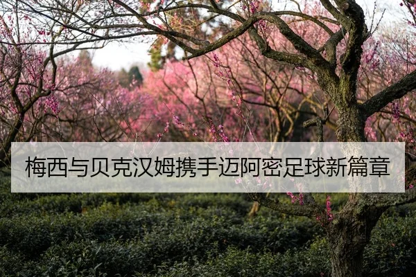 梅西与贝克汉姆携手迈阿密足球新篇章